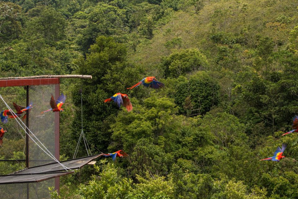 Catemaco & the Tuxtlas Day Trip From Veracruz (Typical Boat) - Advance Booking for English