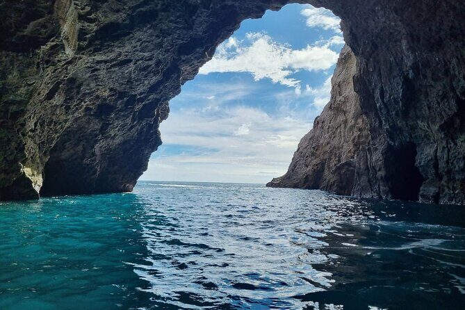 Cathedral Cove 2 Hour Guided Tour Explore Marine Wonders - An In-Depth Look at the Tour Experience