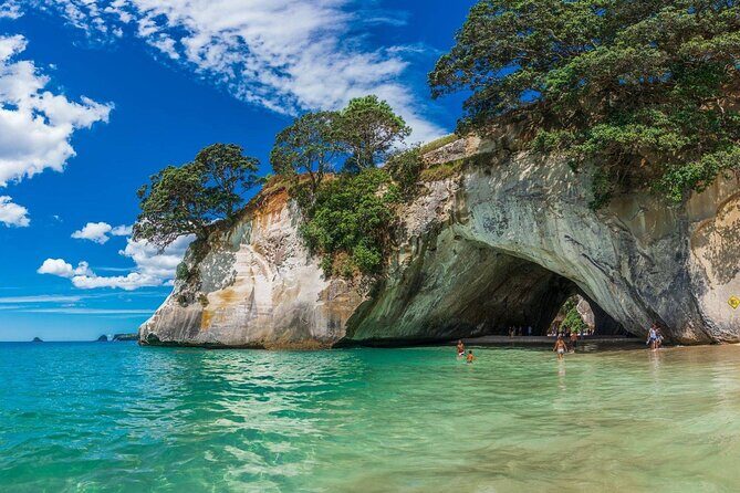 Cathedral Cove and Hot Water Beach Private Tour - Introduction