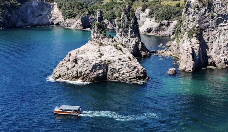 Cathedral Cove Coast and Cave Tour - Who Is This Tour Best For?
