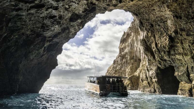 Cathedral Cove Coast and Cave Tour - The Final Word