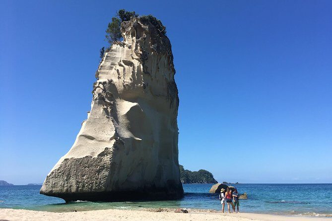Cathedral Cove Day Trip from Auckland - Hot Water Beach: Nature’s Spa