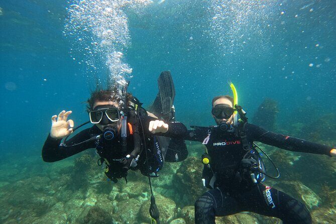 Cathedral Cove Dive & Snorkel- Marine Reserve specialised trips - FAQ: Common Questions Answered