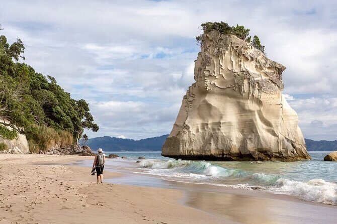 Cathedral Cove & Hot water beach -Full Day Tour: PRIVATE TOUR - An Authentic Look at the Tour Experience