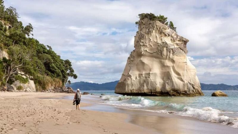 Cathedral Cove & Hot Water Beach Private Tour From Auckland - Exploring the Coromandel: A Private Day Tour from Auckland