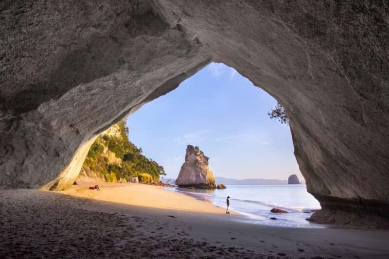 Cathedral Cove & Hot Water Beach Private Tour From Auckland - Why Choose This Tour?