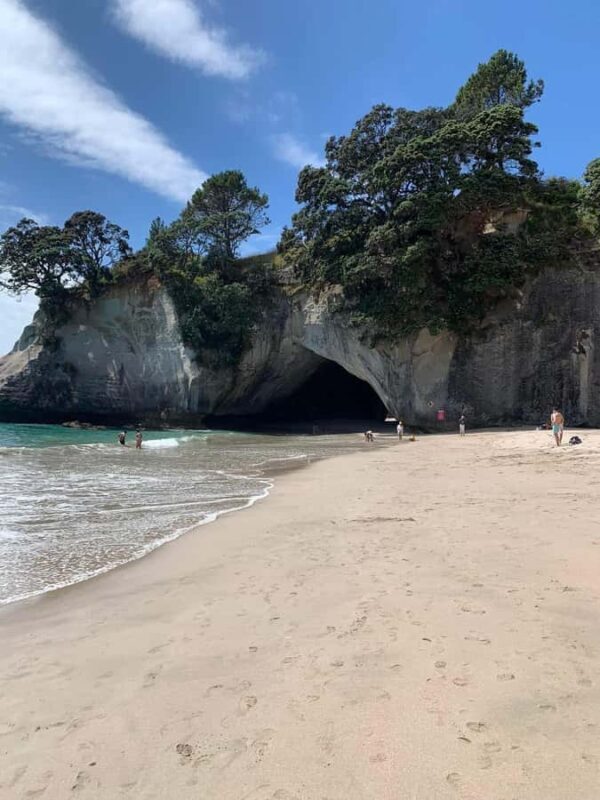 Cathedral Cove & Hot Water Beach Private Tour From Auckland - Additional Tips for Travelers