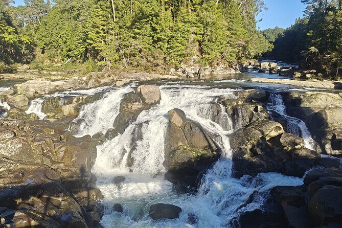 Cathedral Cove & Hot Water Beach with Lunch from Auckland - FAQ