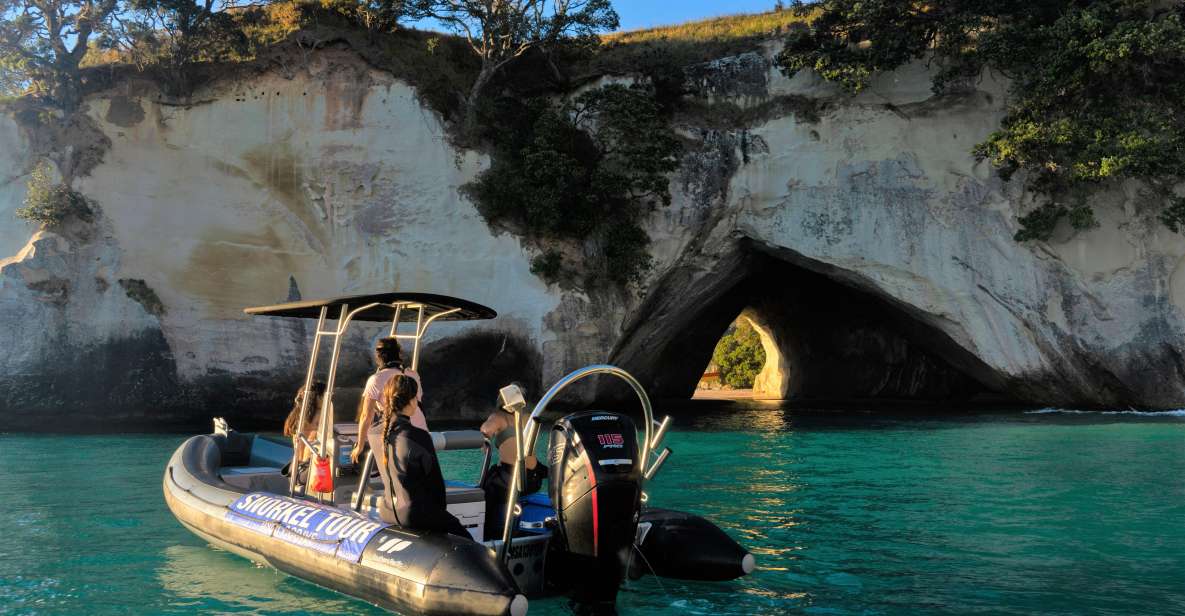 Cathedral Cove Marine Reserve- Specialised Snorkel Boat Trip - Customer Reviews