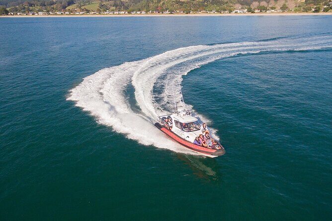 Cathedral Cove Scenic Cruises Whitianga - What the Tour Promises and Delivers