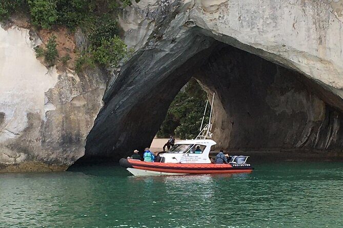 Cathedral Cove Scenic Cruises Whitianga - The Intimate Experience: Small Group Size Matters