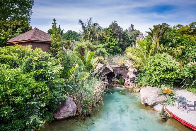 Cathedral Cove with the Lost Spring Hidden Spa - Exploring the Itinerary in Detail