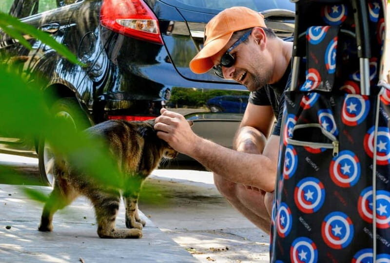 Cats of Athens - Walking Tour - The Value of Supporting a Good Cause