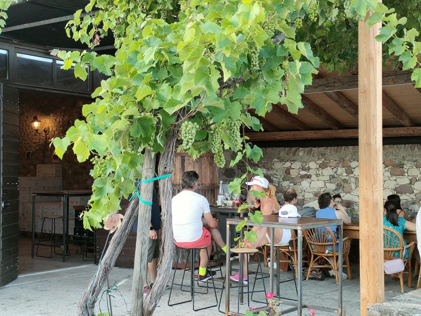 Cavaion: Lake Garda Wine & Food Tasting With Vineyard Tour - Included Features
