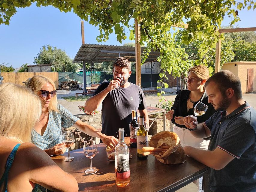 Cavaion: Lake Garda Wine & Food Tasting With Vineyard Tour - Important Information