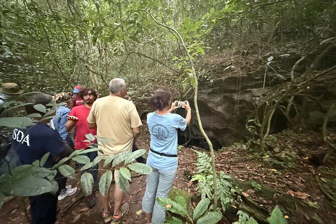 Cave, Bats and Boas Night Tour - Puerto Rico - Final Thoughts: Is It Worth It?