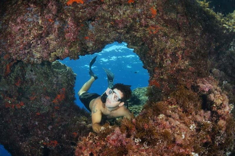 Cave & Coves Argentario Half Day Snorkeling Tour - Exploring the Cave & Coves Argentario Half Day Snorkeling Tour: An Authentic Marine Adventure in Tuscany