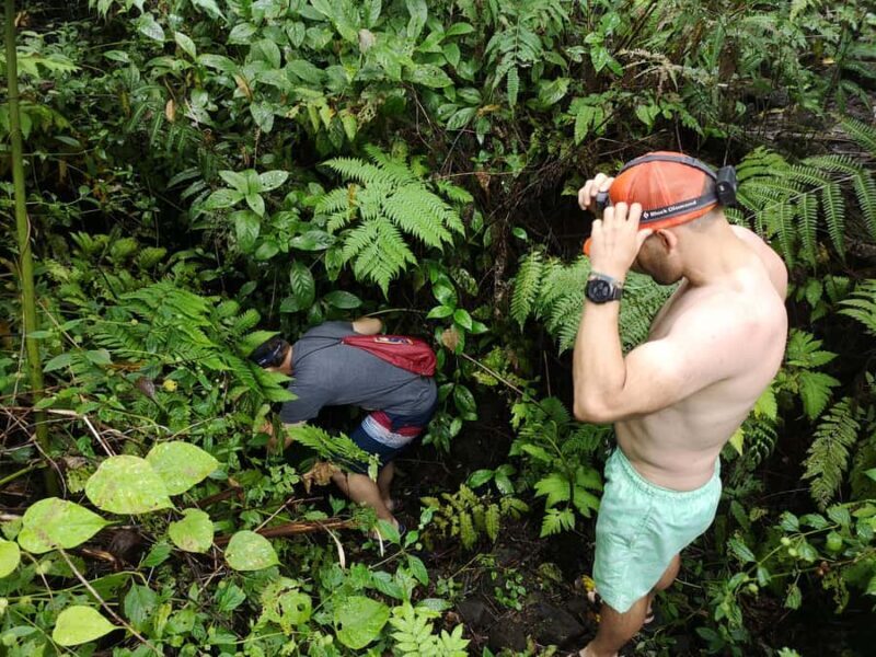 Cave Pool & Lava Tube Swims of Upolu - Key Points