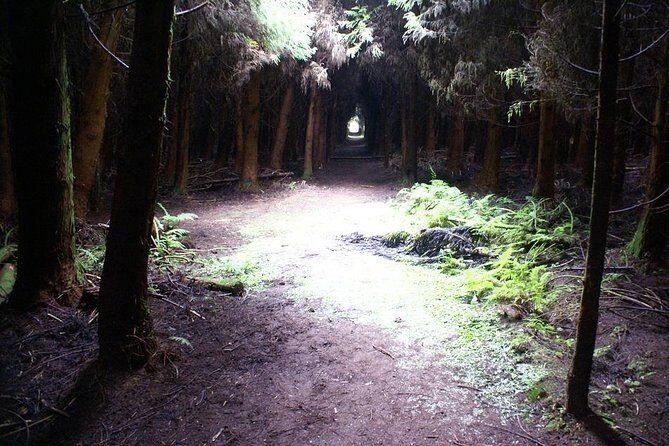 Cave Tour in Terceira - Final Thoughts: Who Will Love This Tour?