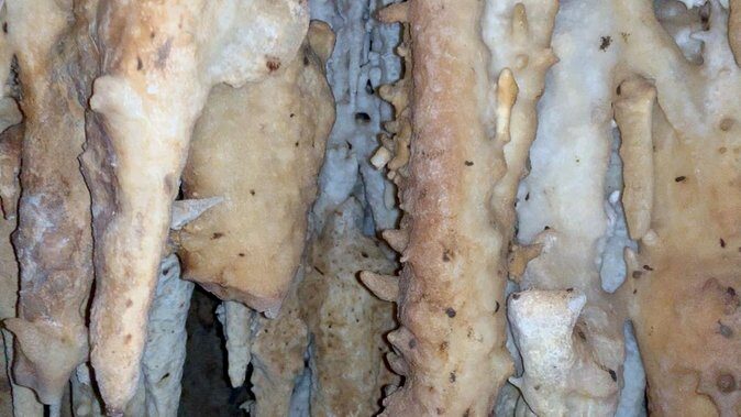 Cave Tour with Local Guide - Ideal Candidates for This Adventure