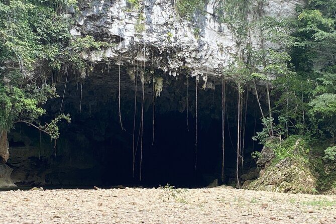 Cave Tubing Paradise and The Howler Monkey Sanctuary - What to Expect on This Tour