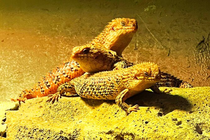 Caversham Wildlife and Swan Valley Private Tour - Frequently Asked Questions