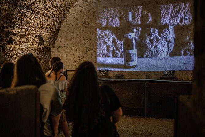 Caves Ambacia, Tour and Wine Tasting in Amboise, Loire Valley - Authentic Feedback from Travelers