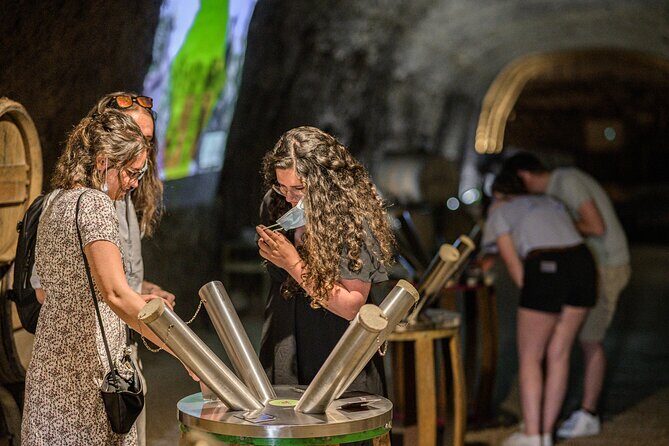 Caves Ambacia, Tour and Wine Tasting in Amboise, Loire Valley - Who Should Consider This Tour?