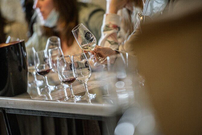 Caves Ambacia, Tour and Wine Tasting in Amboise, Loire Valley - Final Thoughts