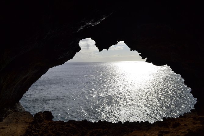 Caves and Lava Fields: Half Day Hike - Traversing the UNESCO World Heritage Site