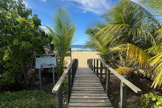 Caves Coastlines and Beach; Cueva del Indio, Arecibo Adventure - The Unique Advantages of This Tour