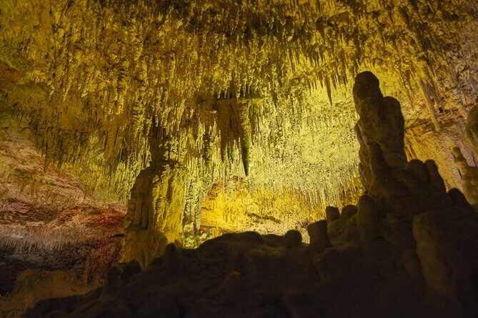 Caves Drach Boat Trip from Alcudia with Return Bus and Tickets - The Itinerary: What to Expect