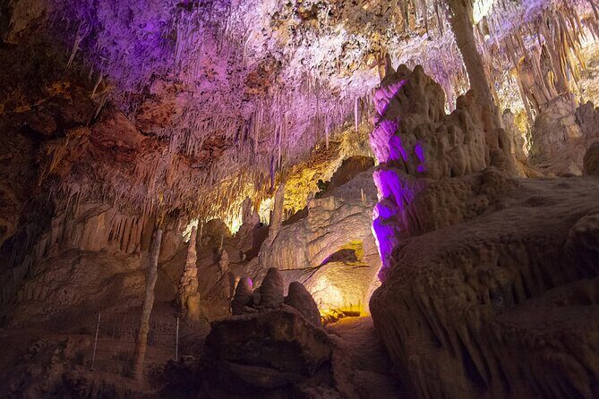 Caves Drach Boat Trip from Alcudia with Return Bus and Tickets - What Travelers Are Saying