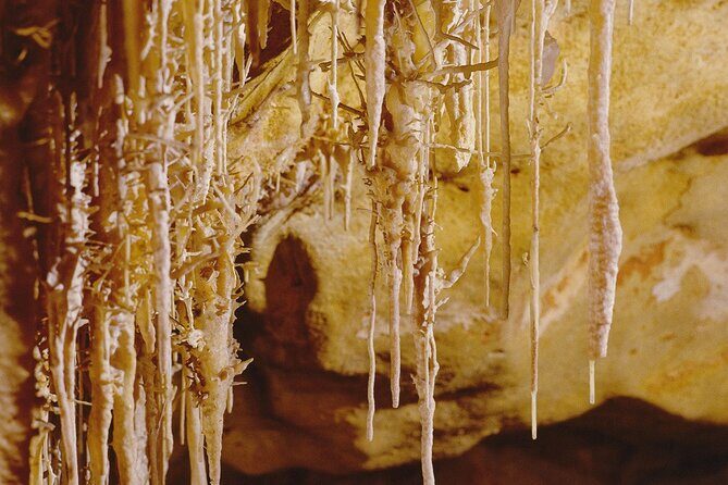 Caves Drach Tour & Return Transfer from Cala Dor-Calas Mallorca - Who Is This Tour Best For?