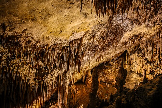 Caves of Drach Tour From Magaluf and Santa Ponsa - Whats Included