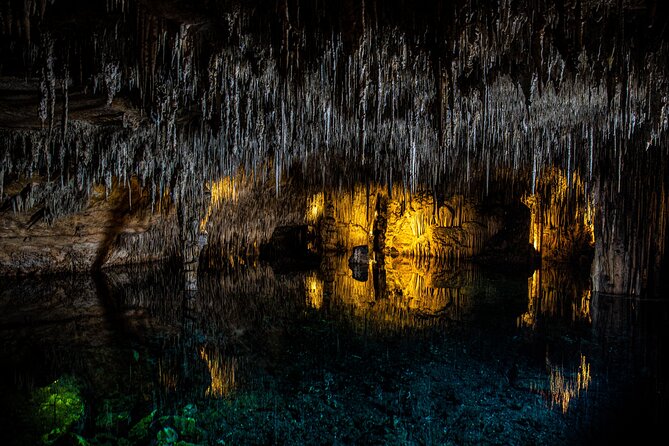 Caves of Drach Tour From Magaluf and Santa Ponsa - Surrounding Attractions