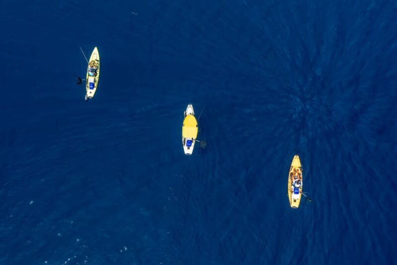 Cavtat: Fishing Duo at Sunrise or Sunset - What to Bring and Prepare