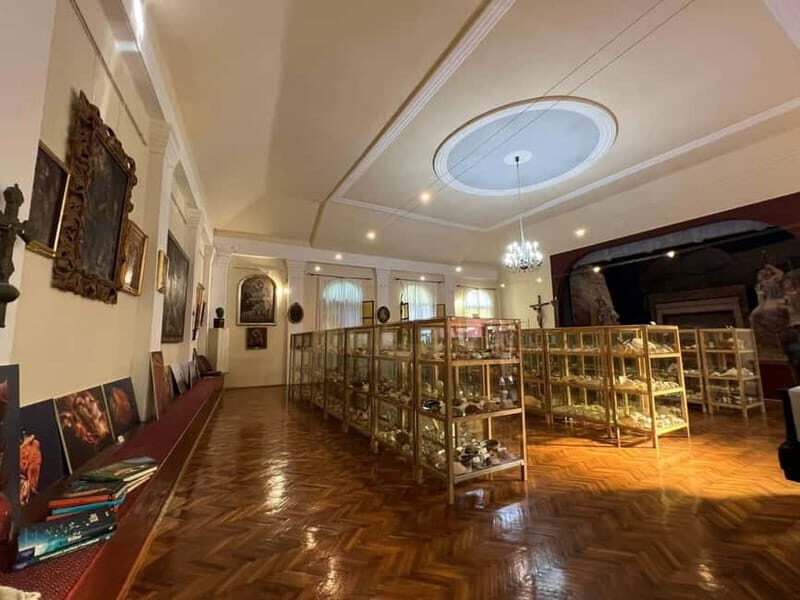 Cavtat: Shell Museum Private Guided Tour - Why the Cavtat Shell Museum Tour Is Worth Considering