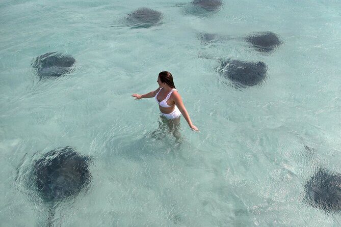Cayman 3 in 1 Combo Adventure Stingray City Reef Snorkeling - Authentic Feedback and Insights
