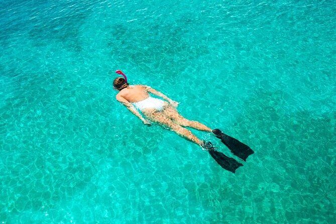 Cayman 3 in 1 Combo Adventure Stingray City Reef Snorkeling - Pricing: Analyzing the Value