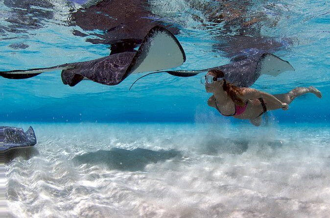 Cayman 3 in 1 Combo Adventure Stingray City Reef Snorkeling - FAQ