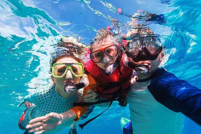 Cayman Adventure: Starfish Point, Stingray City and Coral Gardens - The Experience: What to Expect on This Tour