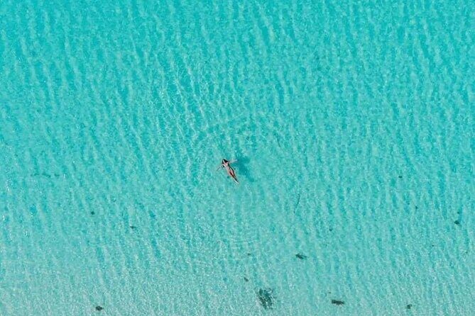 Cayman Adventure: Starfish Point, Stingray City and Coral Gardens - Final Thoughts