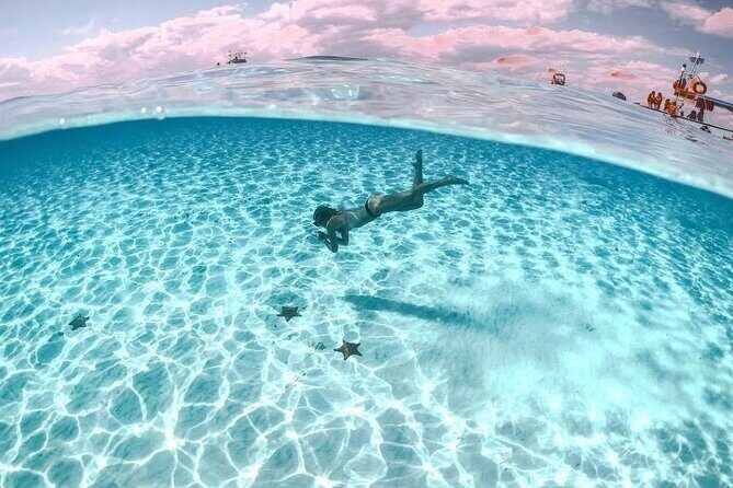 Cayman Adventure: Starfish Point, Stingray City and Coral Gardens - FAQ