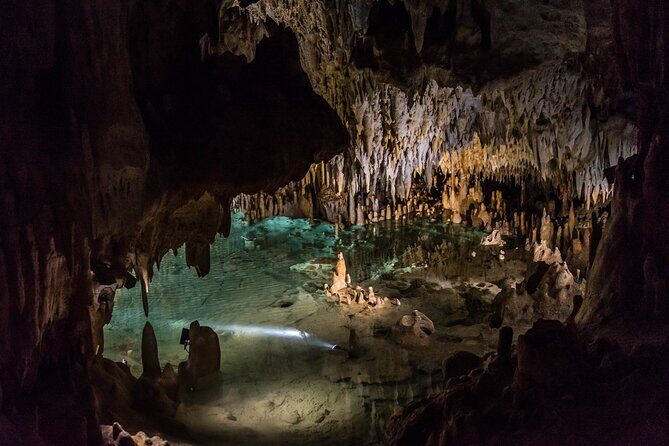 Cayman Adventure Stingrays Starfish plus Crystal Caves - Why This Tour Makes Sense for You