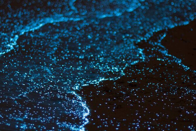 Cayman Bioluminescent Bay Night Tour - Final Thoughts