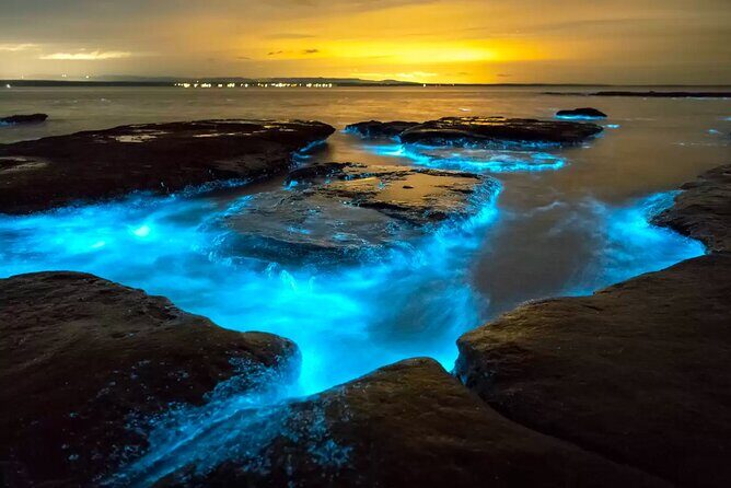 Cayman Bioluminescent Bay Night Tour - FAQ