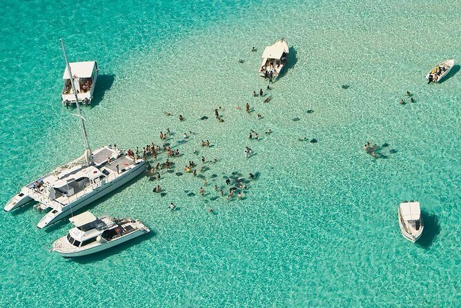 Cayman Combo Tour: Starfish Point, Stingray City & Coral Gardens - Authentic Experiences and Guest Feedback