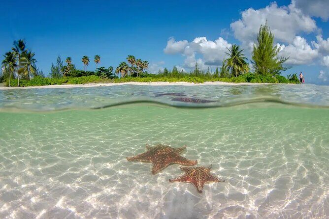Cayman Combo Tour: Starfish Point, Stingray City & Coral Gardens - Value and Practical Considerations