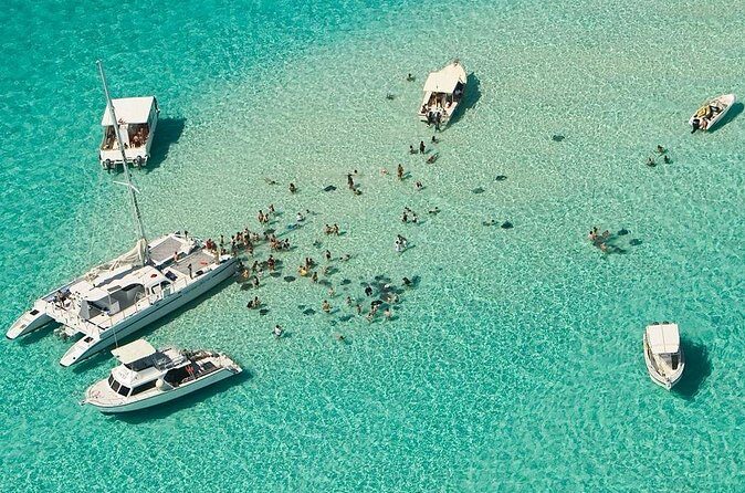 Cayman Combo Tour: Starfish Point, Stingray City & Coral Gardens - Final Thoughts: Who Should Consider This Tour?